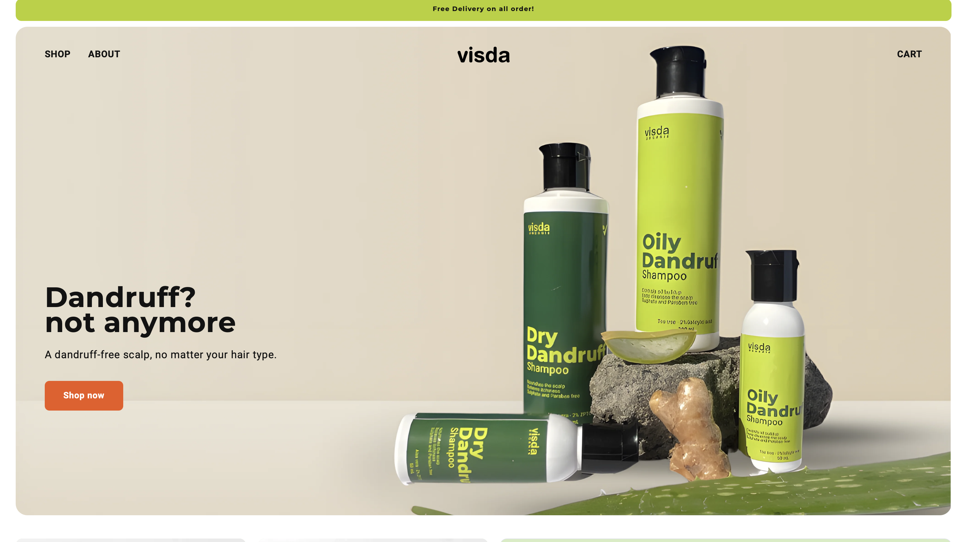 Visda Organix — Shopify Store
